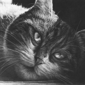 Maggie