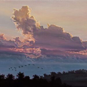 Migrazione al tramonto